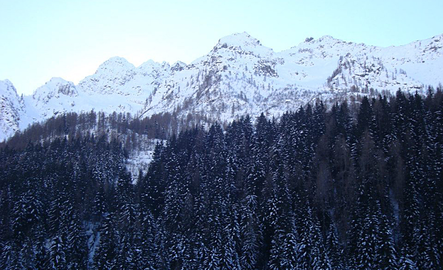 Immagine