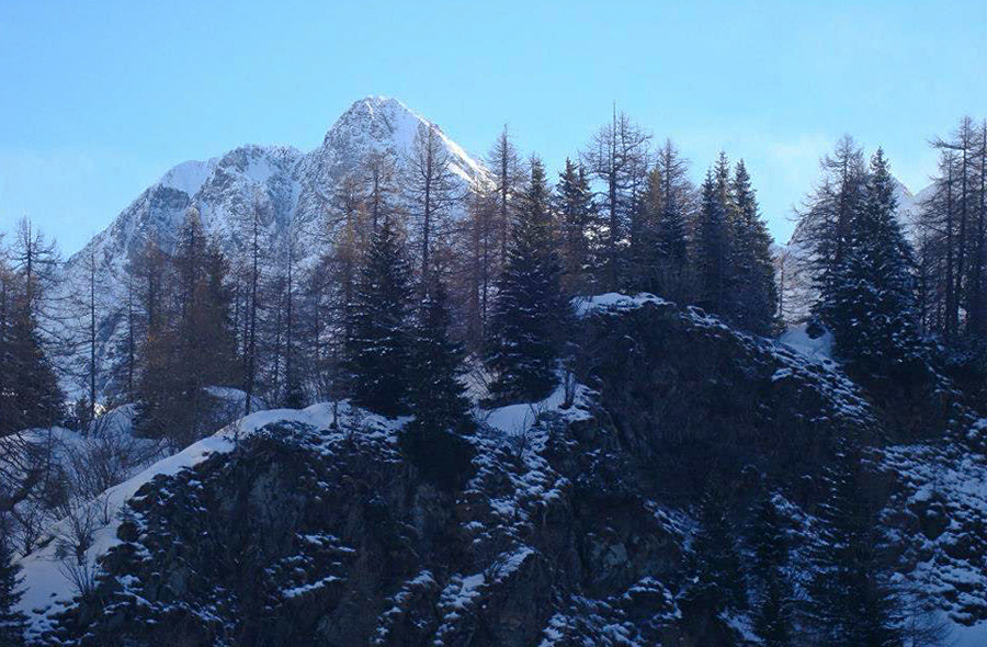 Immagine