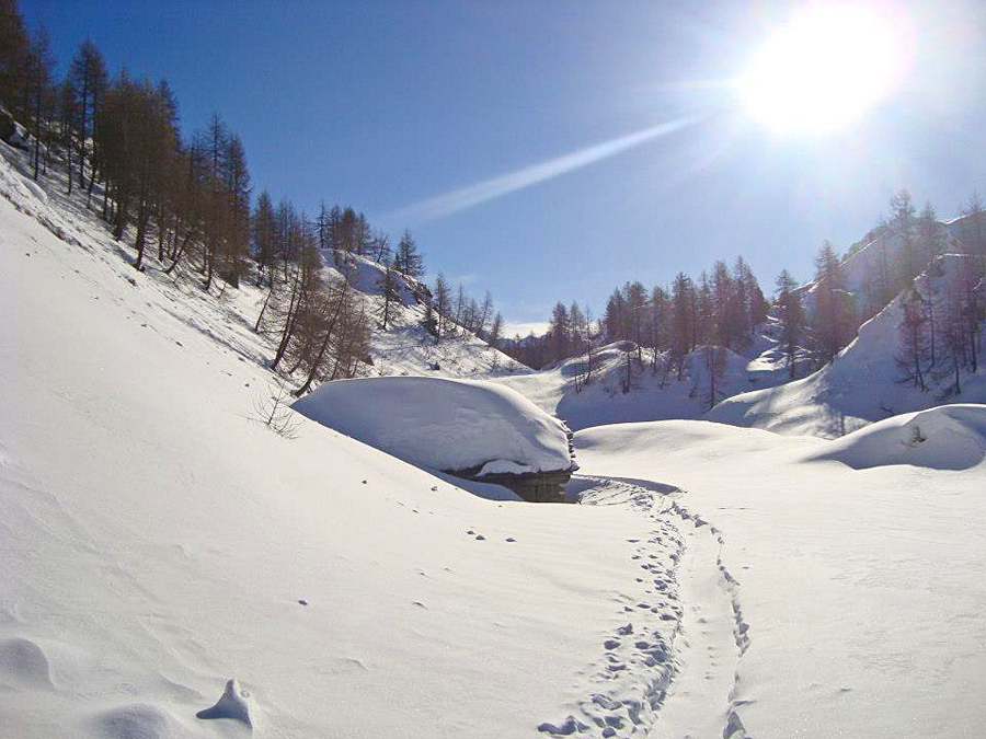 Immagine