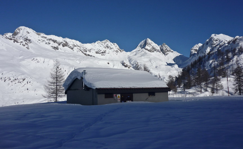 Immagine