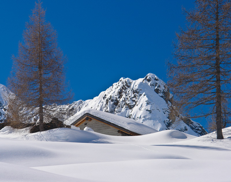 Immagine