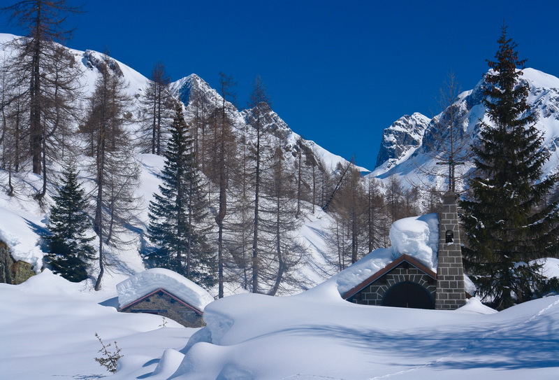 Immagine