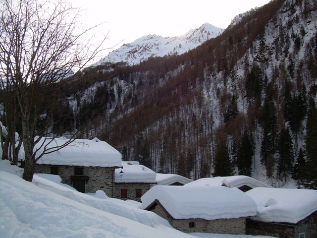 Immagine