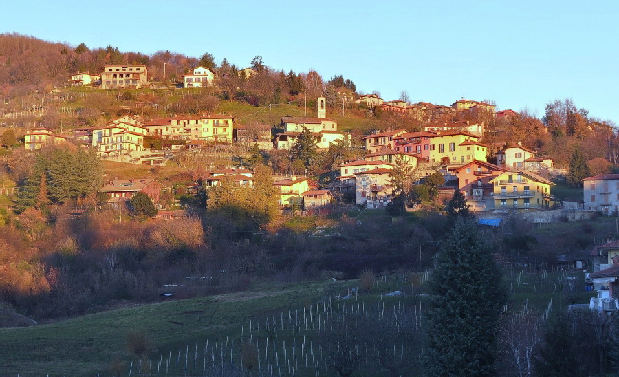 Immagine