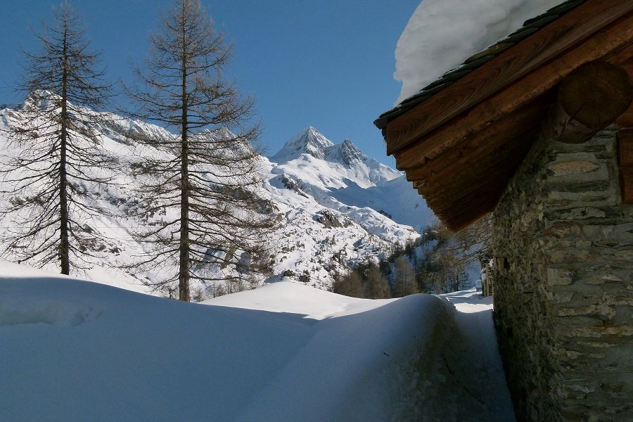 Immagine