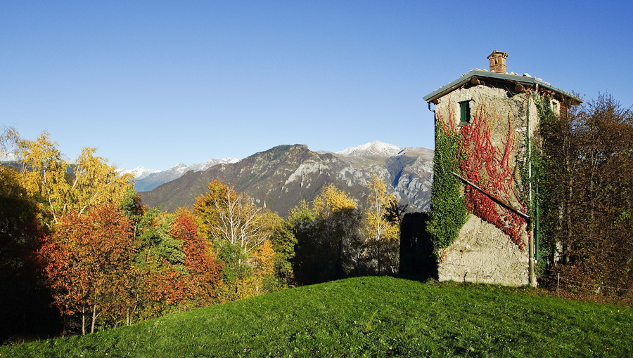 Immagine