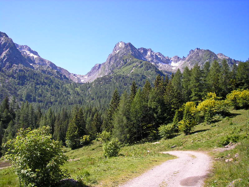 Immagine
