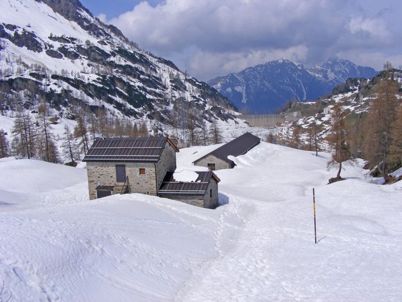 Immagine