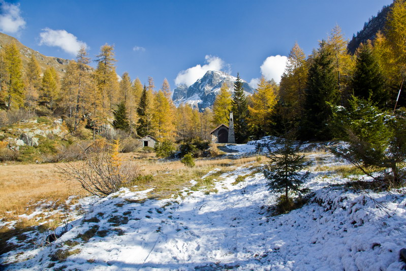 Immagine