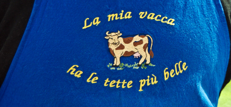 Immagine