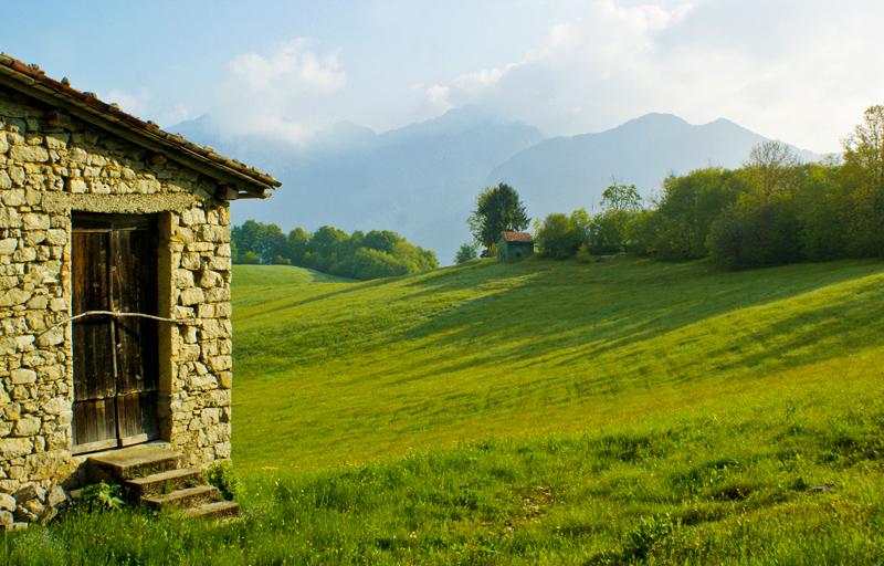 Immagine