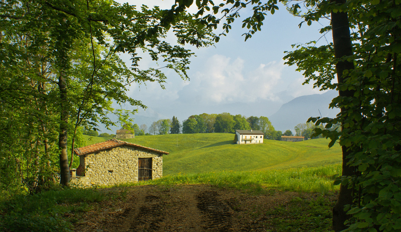 Immagine