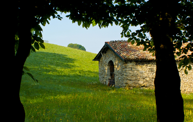 Immagine