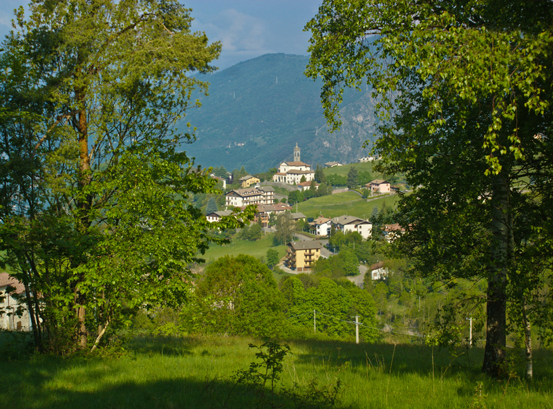 Immagine