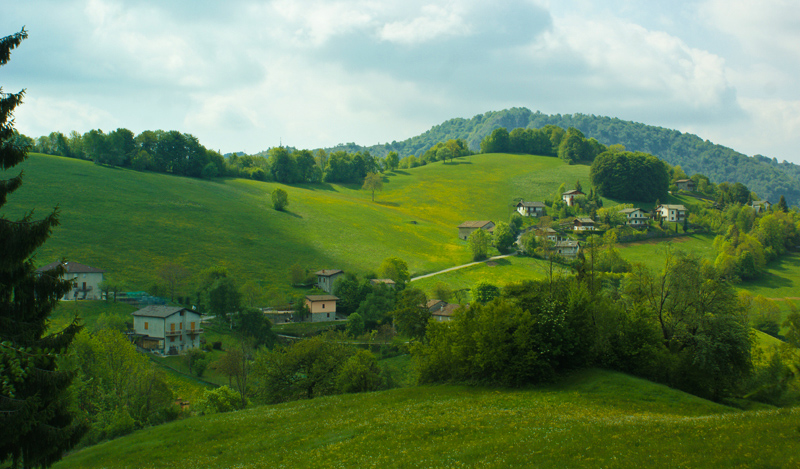 Immagine
