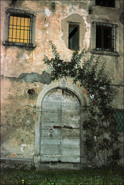 Immagine