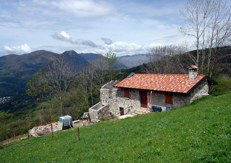 Immagine