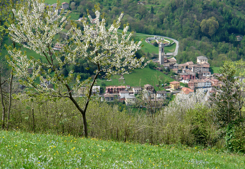 Immagine