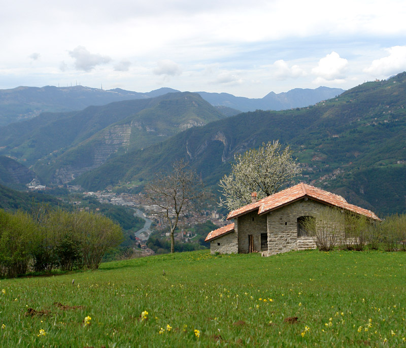 Immagine