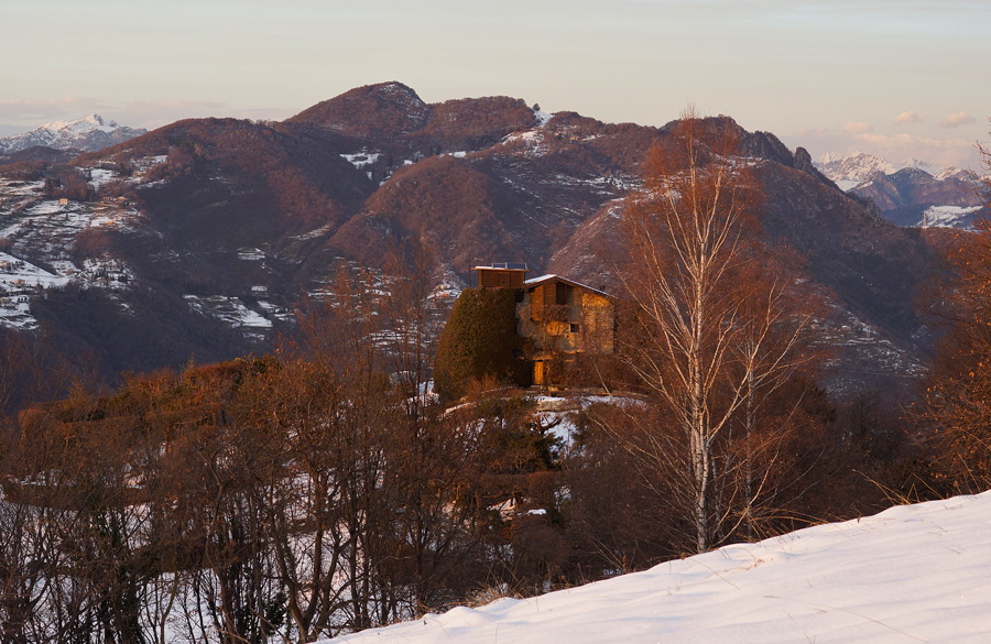 Immagine