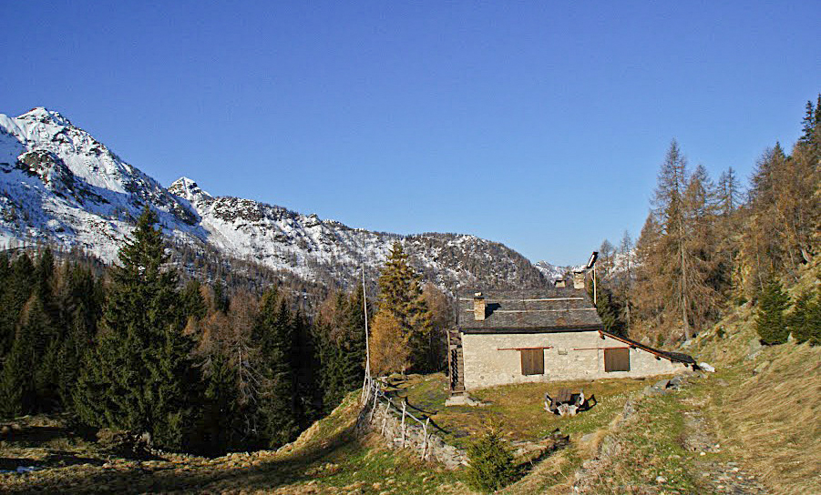 Immagine