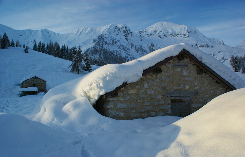 Immagine