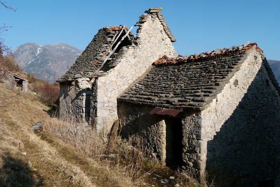 Immagine