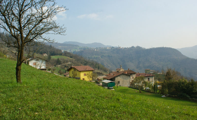 Immagine