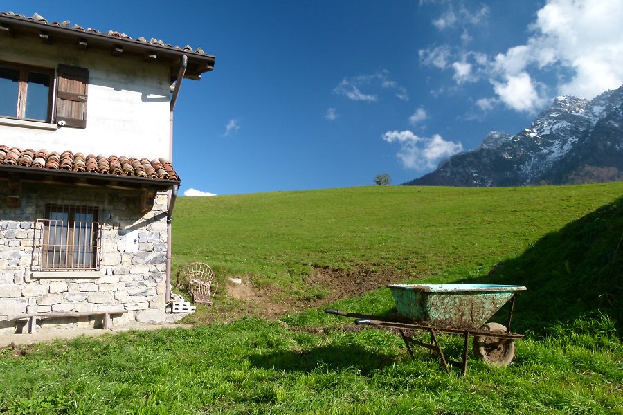 Immagine