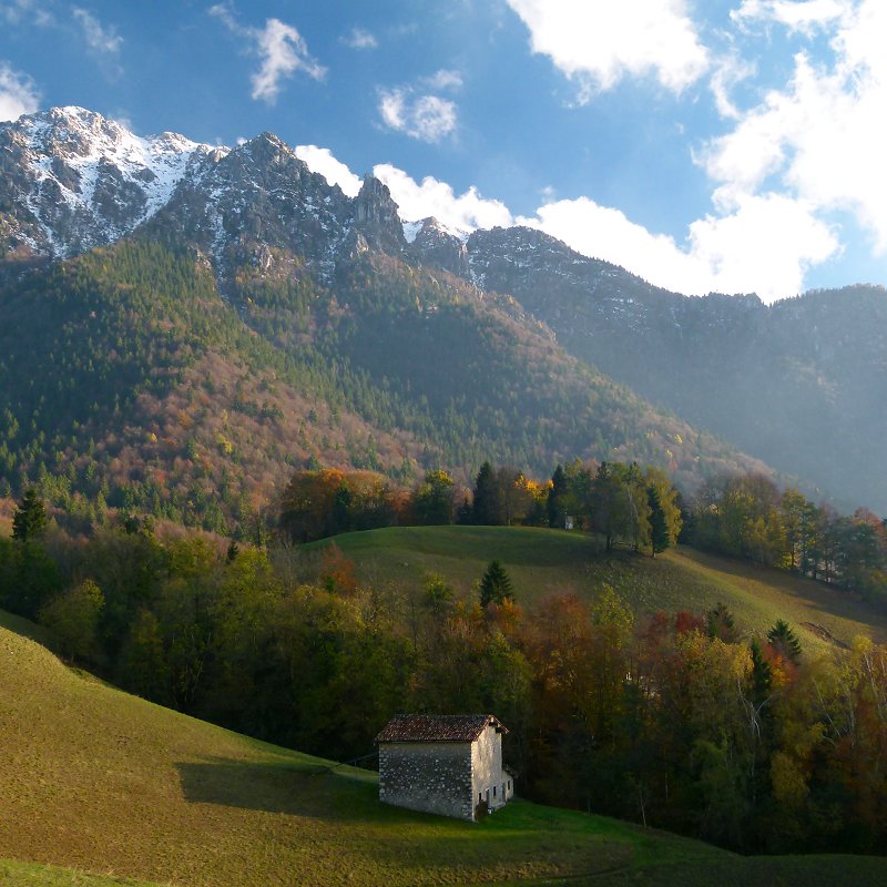 Immagine