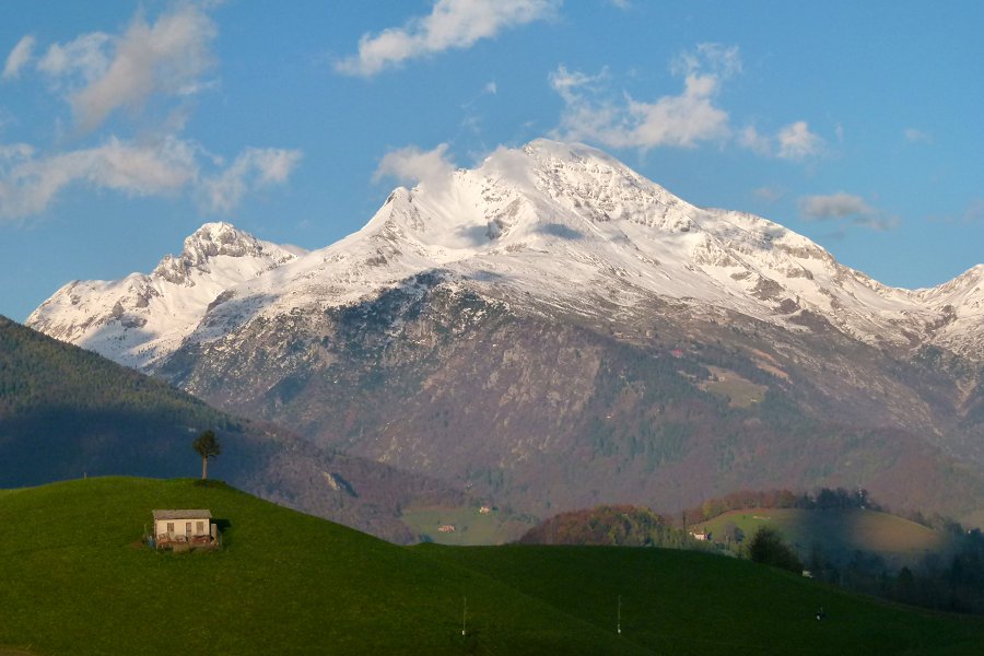 Immagine