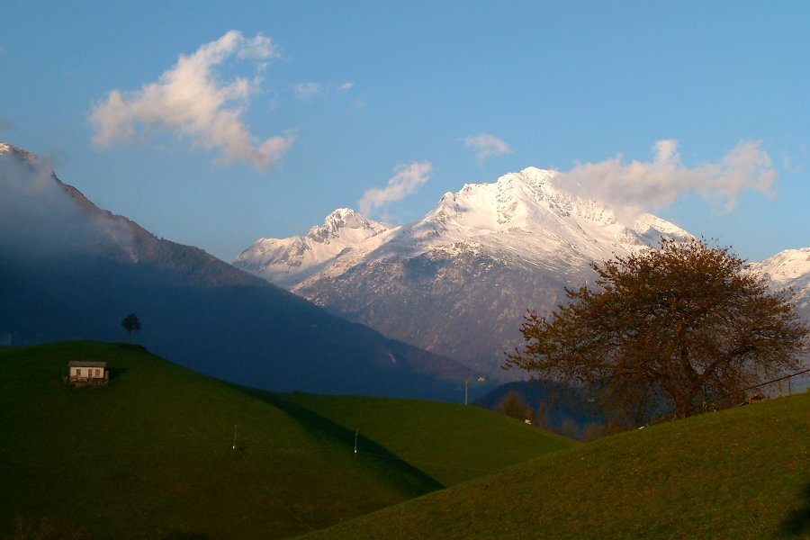 Immagine