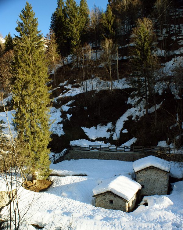 Immagine