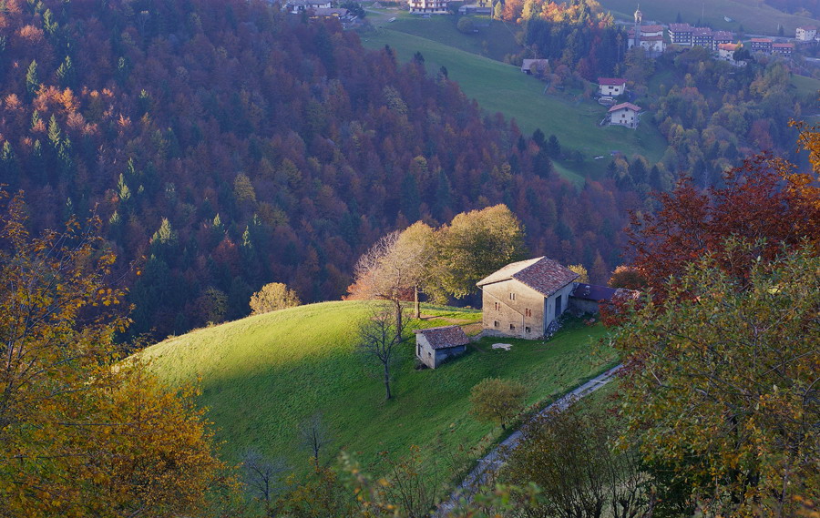 Immagine