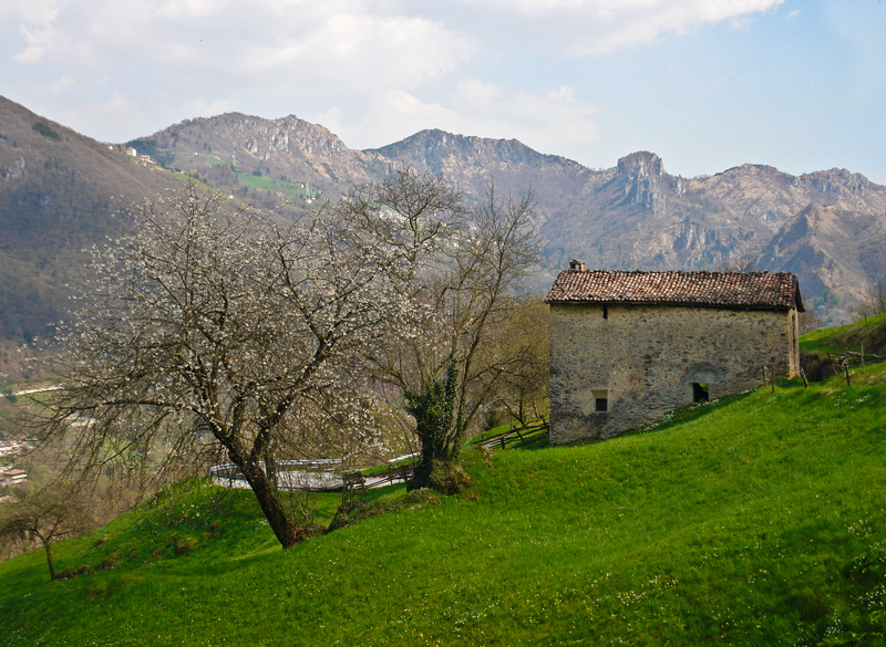 Immagine
