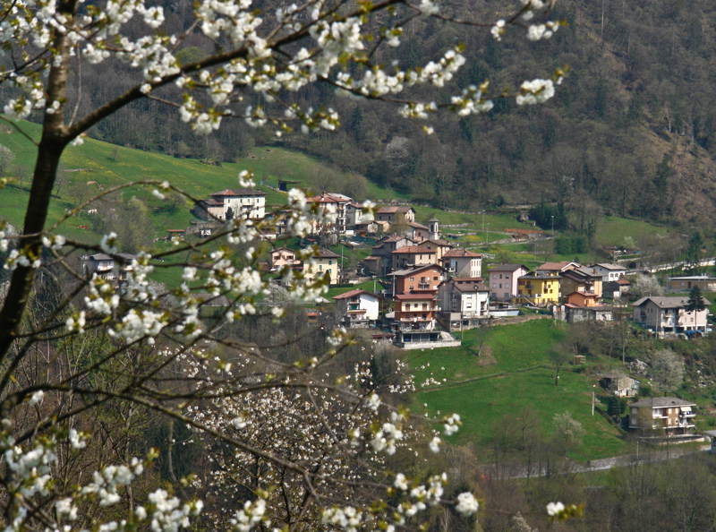 Immagine