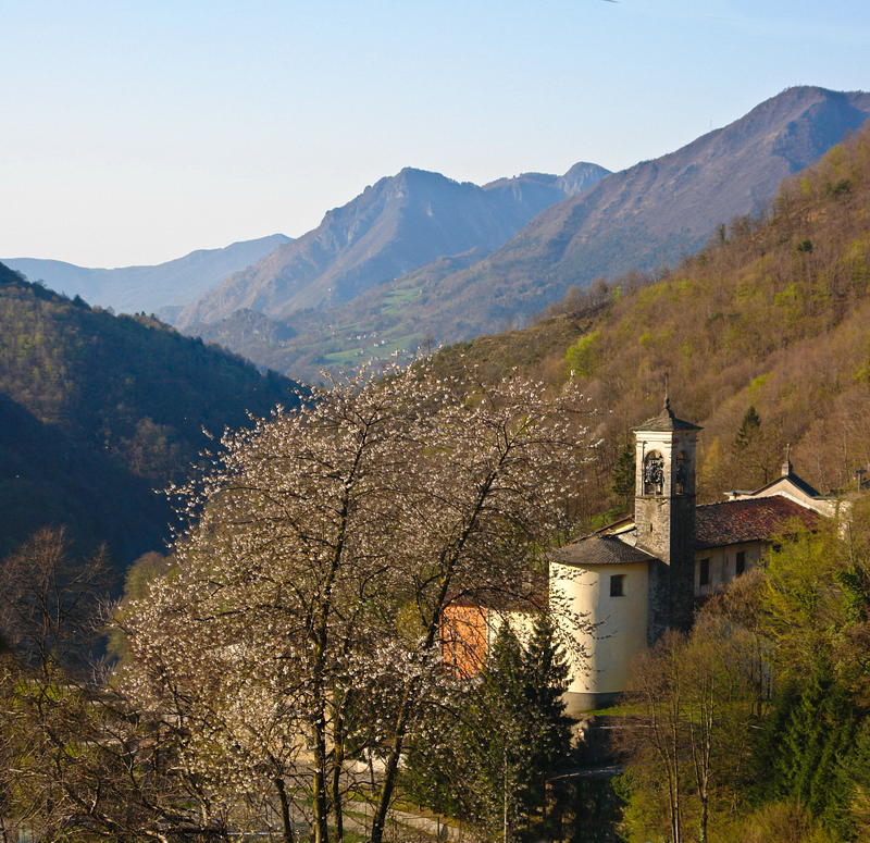 Immagine