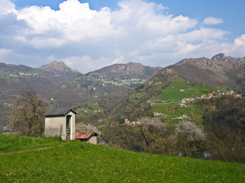 Immagine