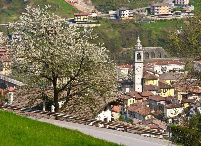Immagine
