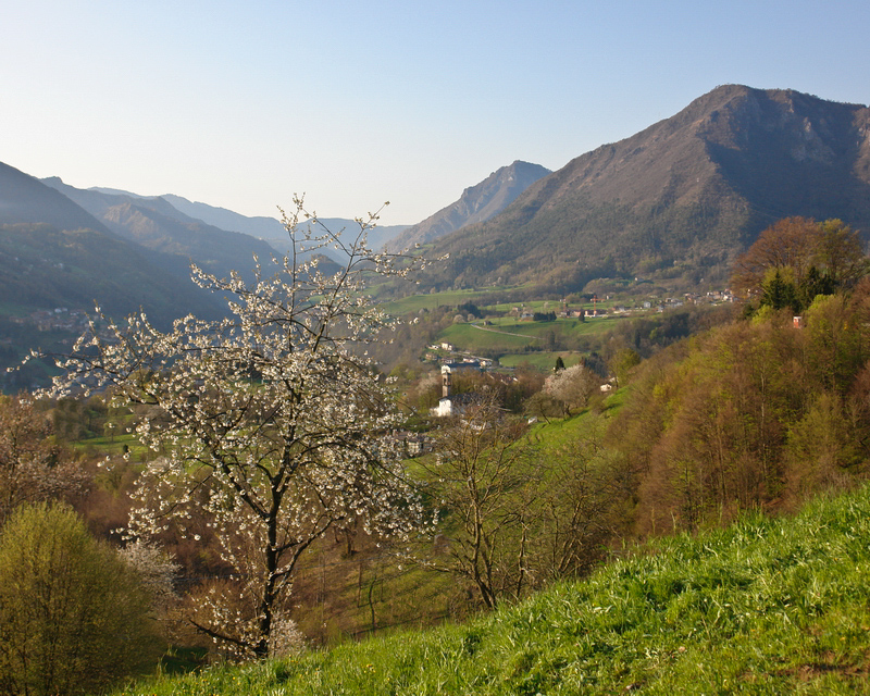 Immagine