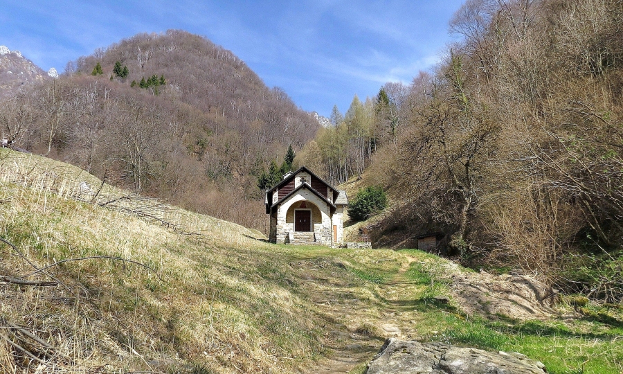 Immagine