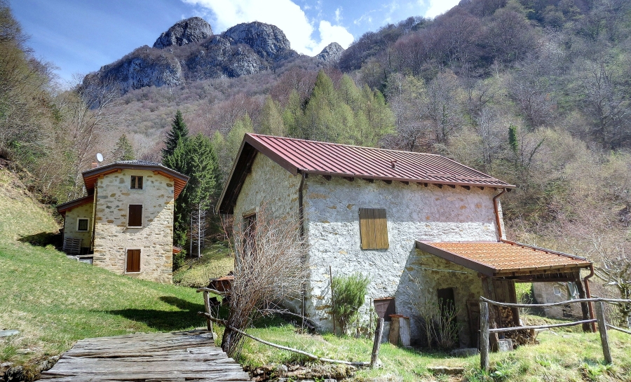 Immagine