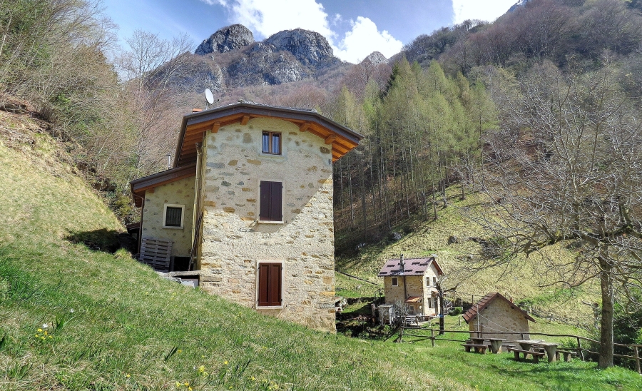 Immagine