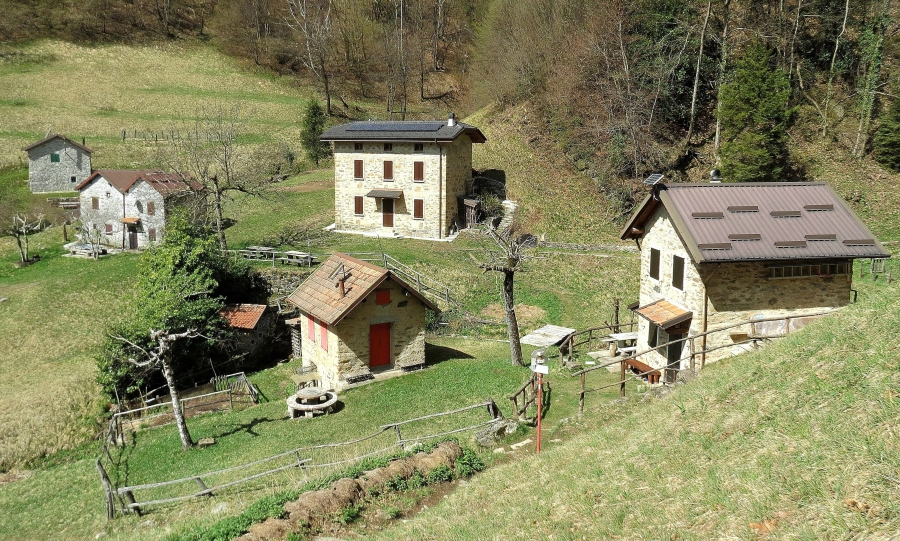 Immagine