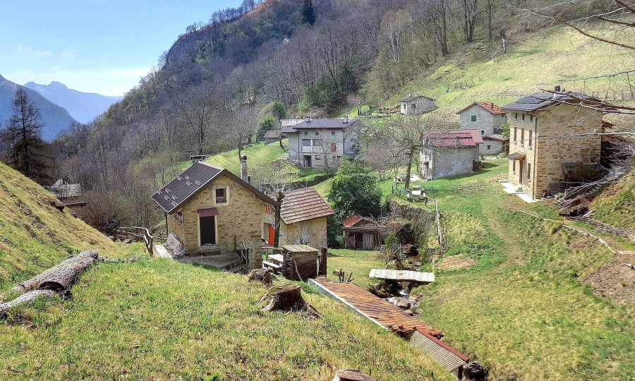 Immagine
