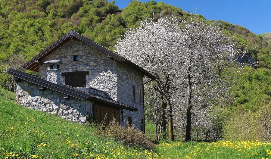 Immagine