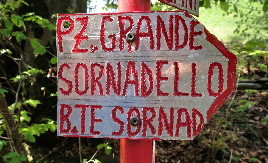 Immagine