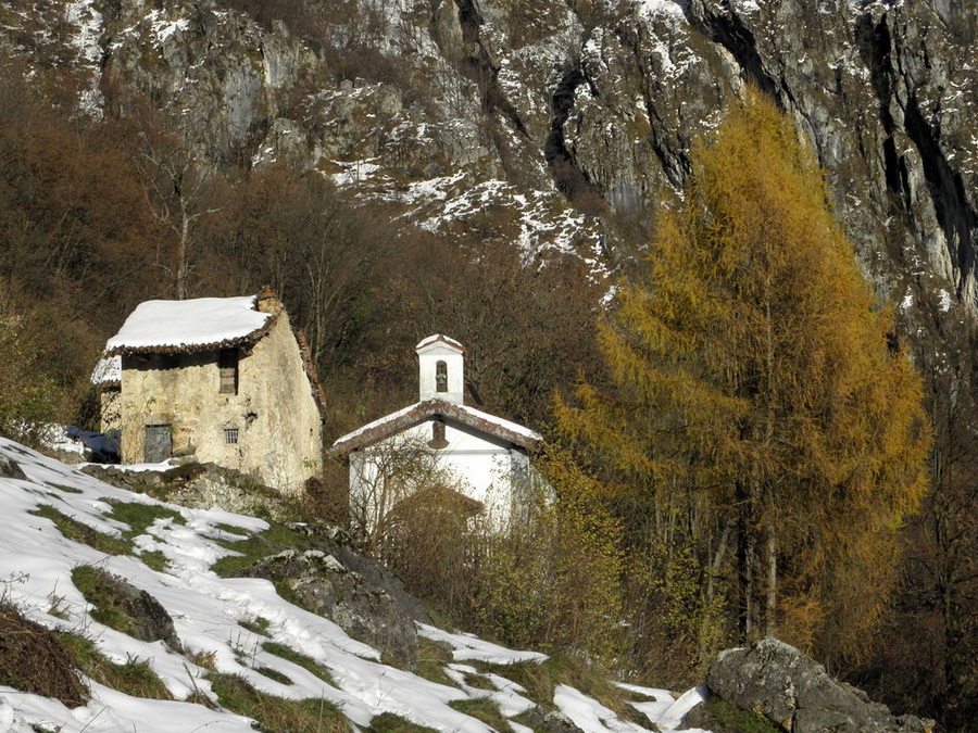 Immagine