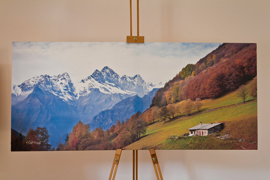 Immagine