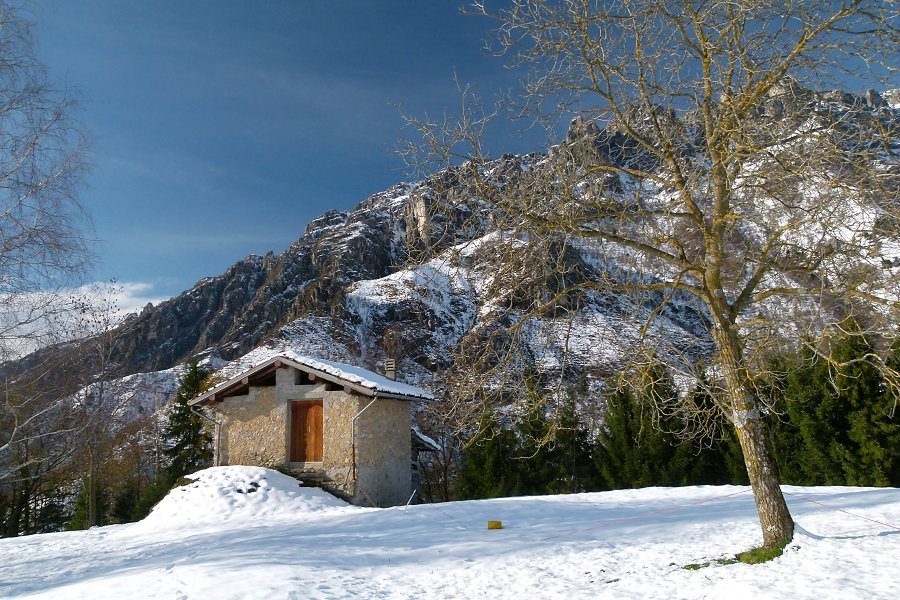 Immagine